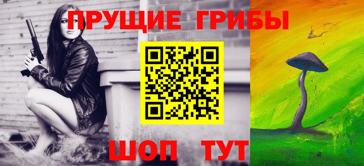 Псилоцибиновые грибы прущие грибы  Вход с VPN  Россия 